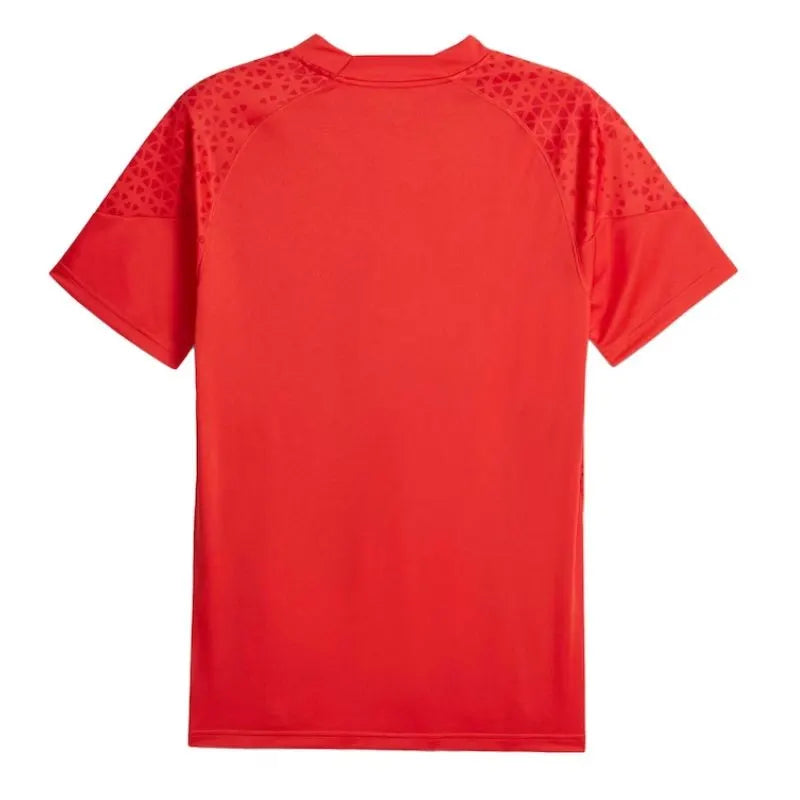 third Puma AC Milan Red Jersey - Hình 2