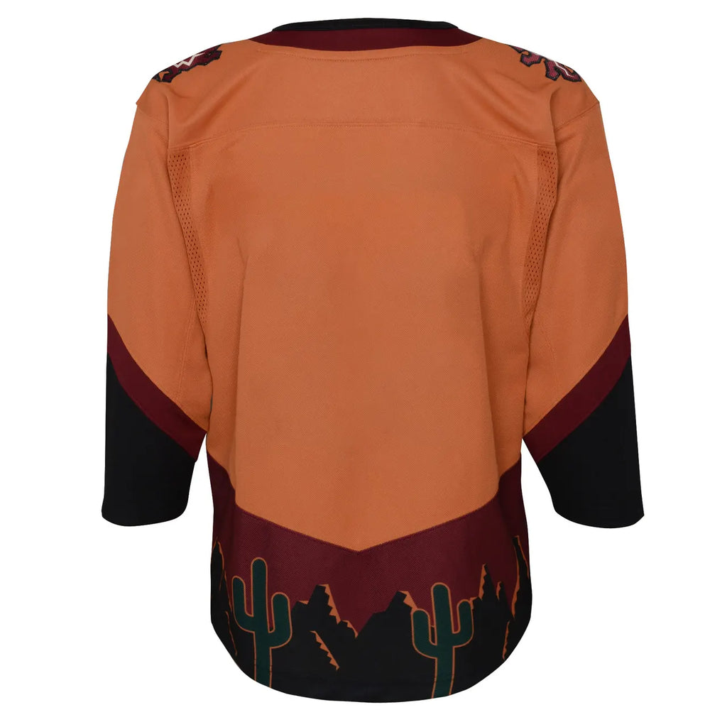 Coyotes Kachina Desertscape Jersey - Hình 3