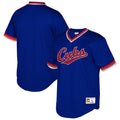 Cubs Blue Mesh Jersey