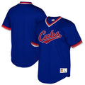 Mitchell & Ness Cubs Blue Mesh Jersey