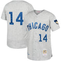 Cubs Banks Gray Jersey