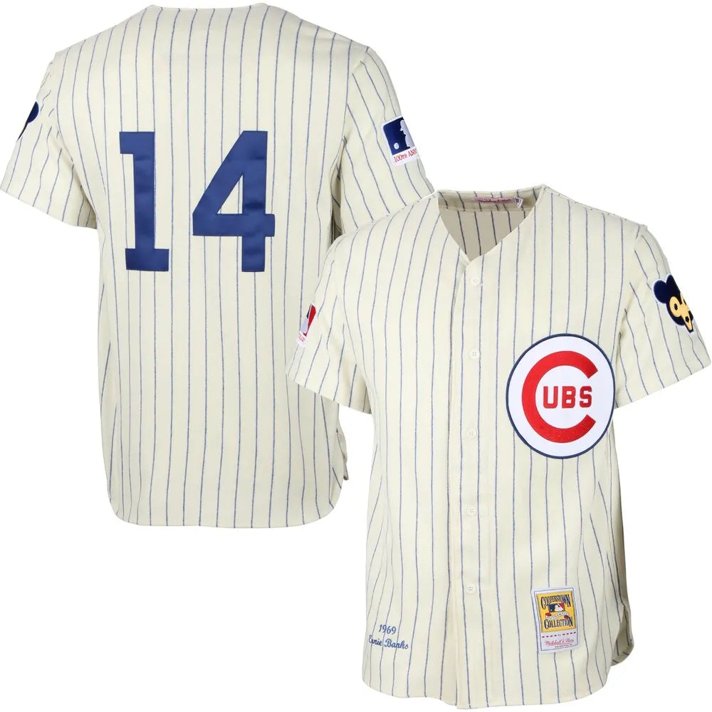 Ernie Banks #14 Cubs jersey