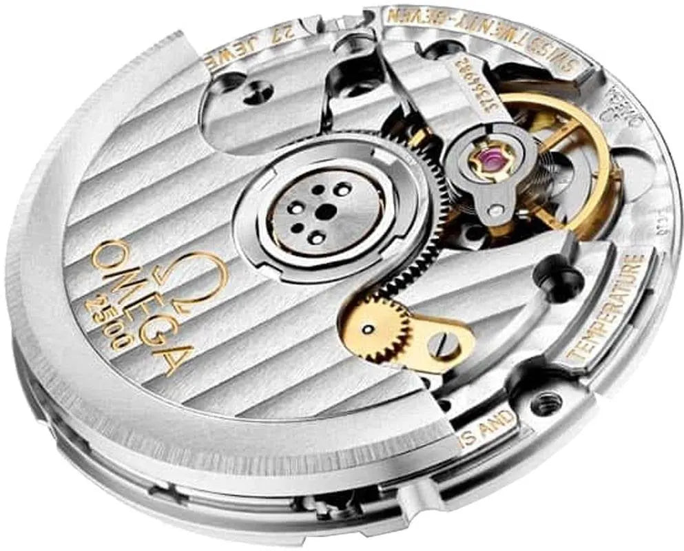 Omega Silver Dial Diamond Watch - Hình 3