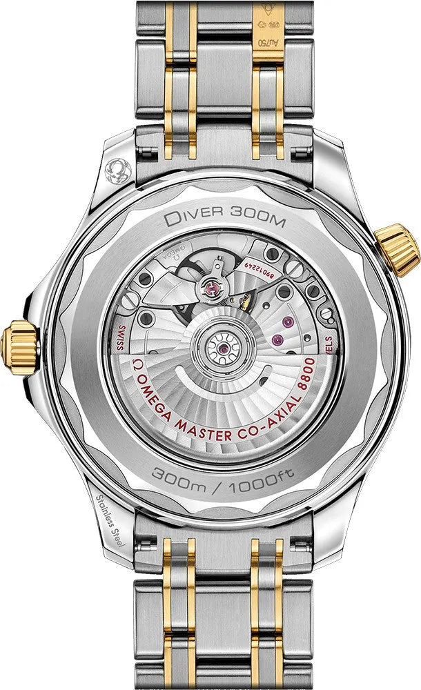 Omega Two-Tone Diver Watch - Hình 2