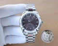 Omega Silver Steel Plum Dial