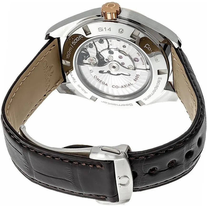 Omega GMT Brown Dial Leather - Hình 2
