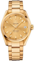 Omega Gold Dial Steel seamaster