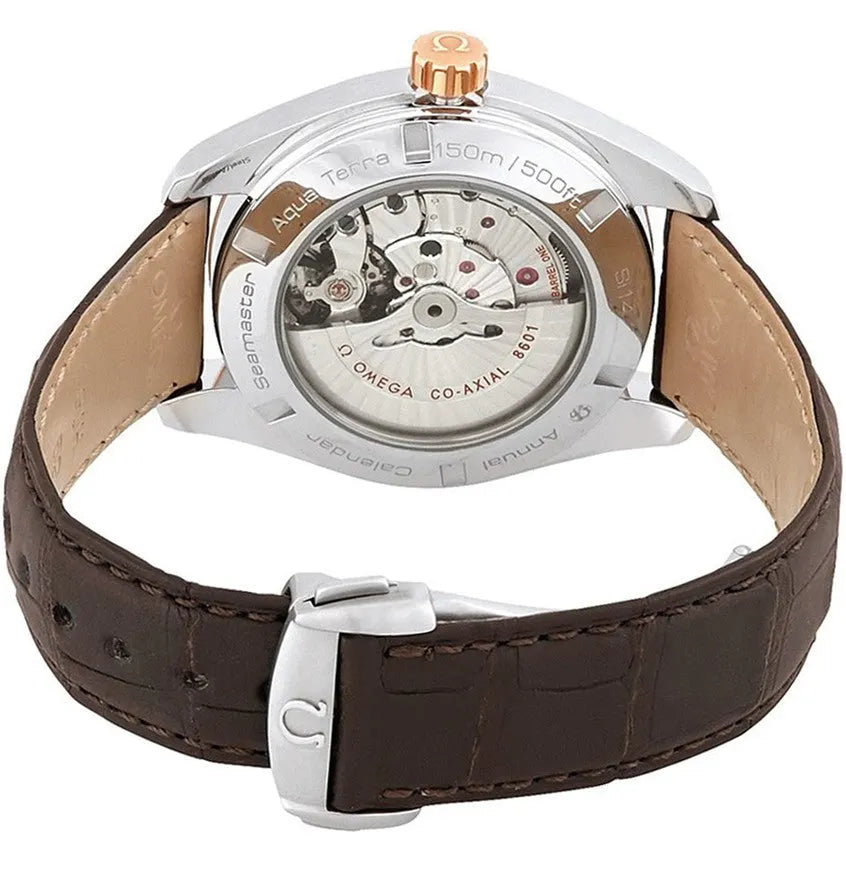 Seamaster Brown Dial Leather - Hình 3
