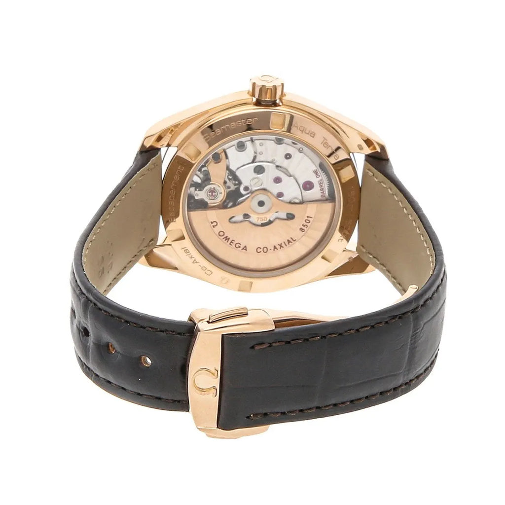 seamaster watch Omega Rose Gold Brown Leather - Hình 2