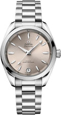 seamaster Omega Silver Dial Steel Watch