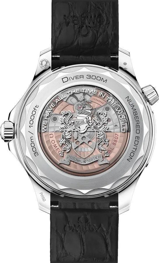 Omega Seamaster Spectre Black Leather - Hình 2