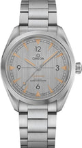 Omega Silver Railmaster Steel