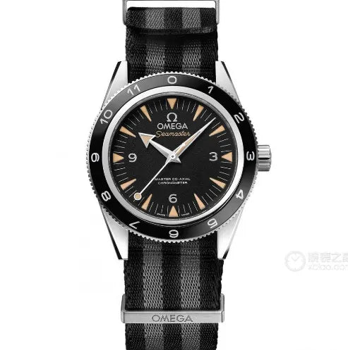 Omega Seamaster Black Dial - Hình 6