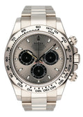 Rolex Daytona Platinum Dial