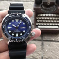 Seiko Blue Turtle Divers